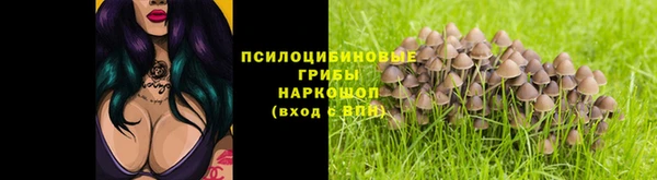 не бодяженный Алзамай