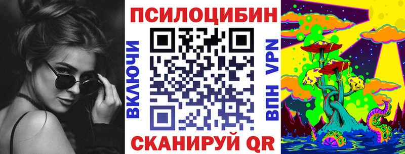 Галлюциногенные грибы Psilocybine cubensis  Белоозёрский 